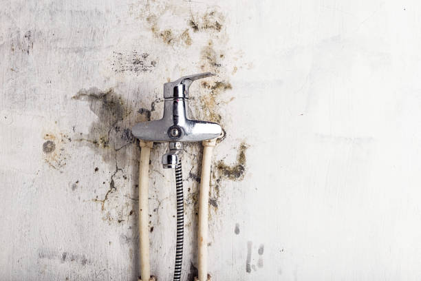 Best Mold Removal Near Me  in Lake Hopatcong, NJ