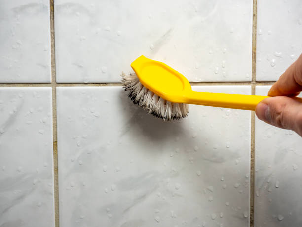 Best Certified Mold Removal  in Lake Hopatcong, NJ