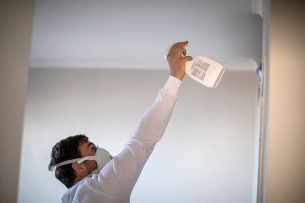 Best Residential Mold Removal  in Lake Hopatcong, NJ