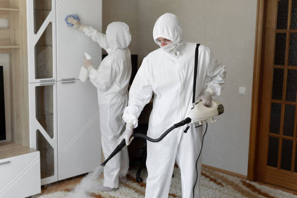Attic Mold Removal in Lake Hopatcong, NJ
